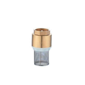 Check Valve With Filter