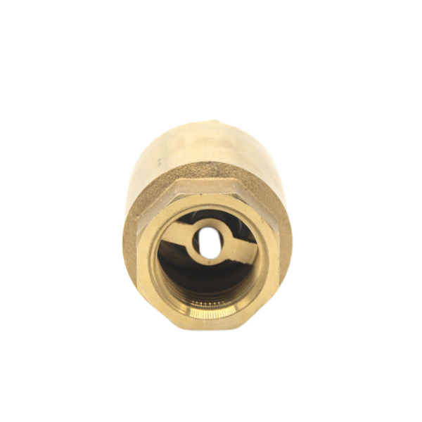 Heavy Duty Vertical Spring Check Valve 0604c