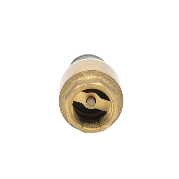 Vertical Spring Flap Check Valve 0613b