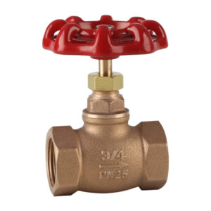 Bronze Stop Globe Valve