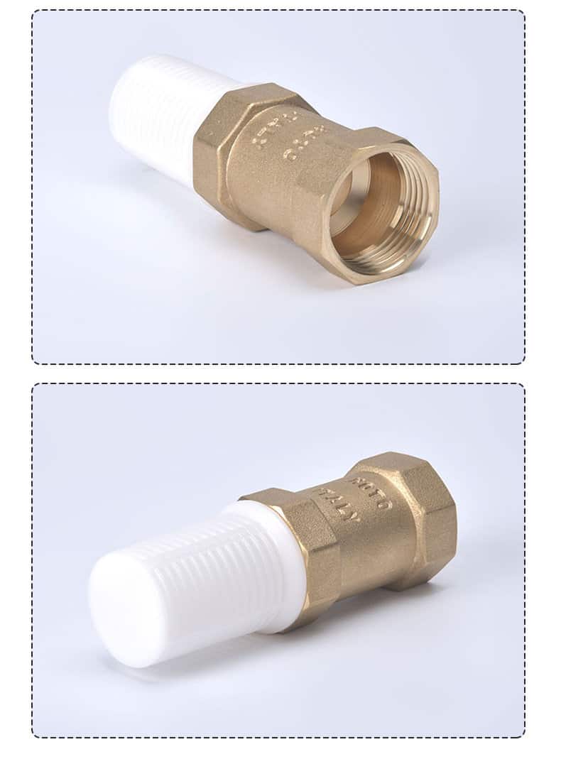 Foot check valve