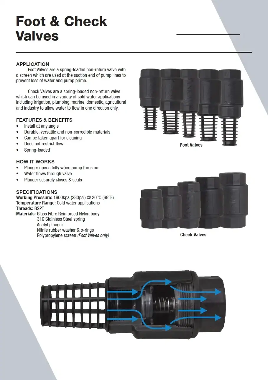spring check non return valve