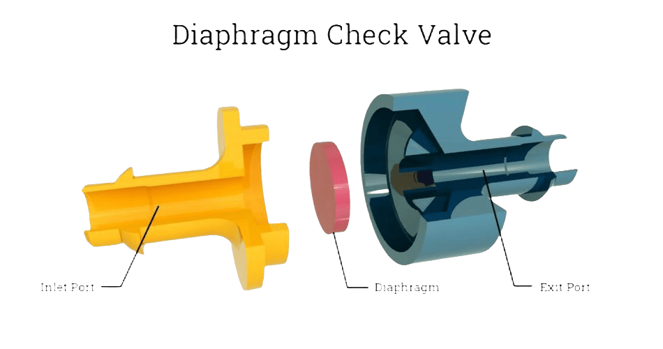 Diaphragm check valves