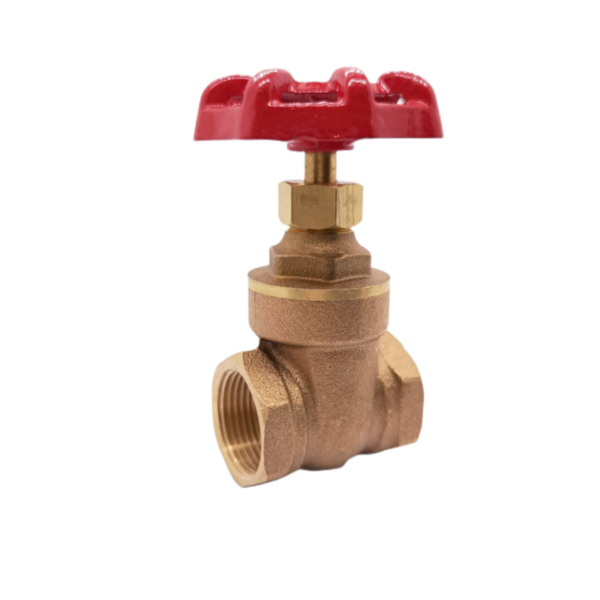 1/2 Inch Bronze Gate Valve - Image 4