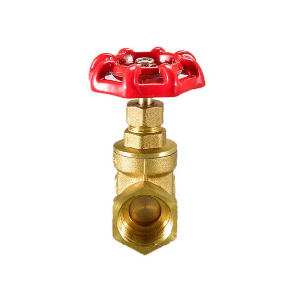 Brass Globe Valve - Image 3