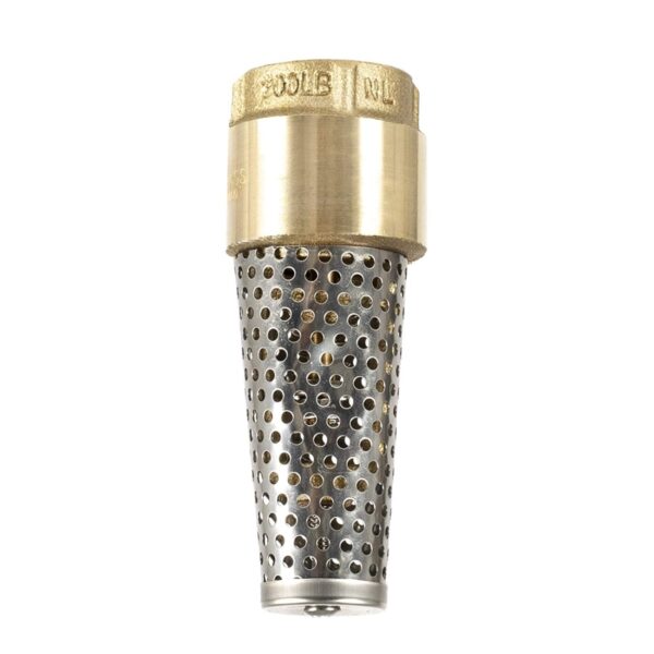 Check foot valve with filter