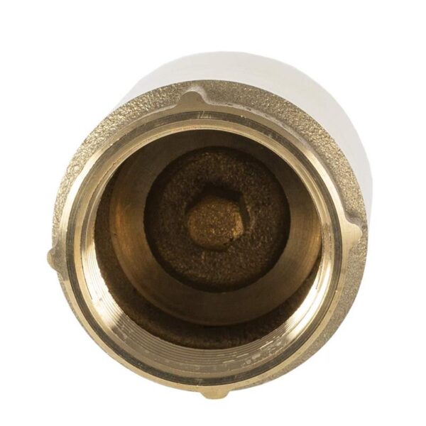 Inline Spring Loaded Check Valve