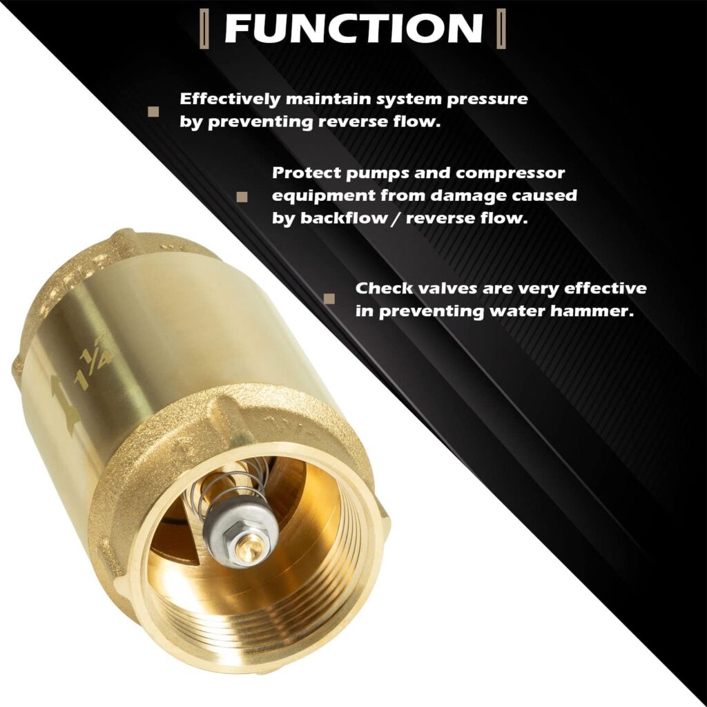 inline spring loaded check valve