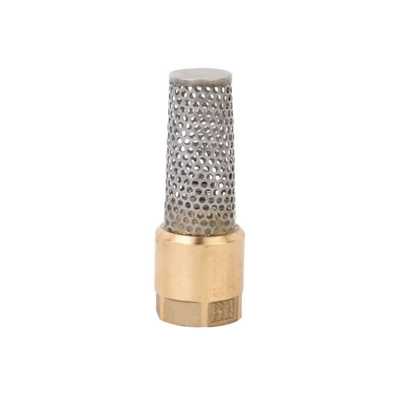 brass check foot valve