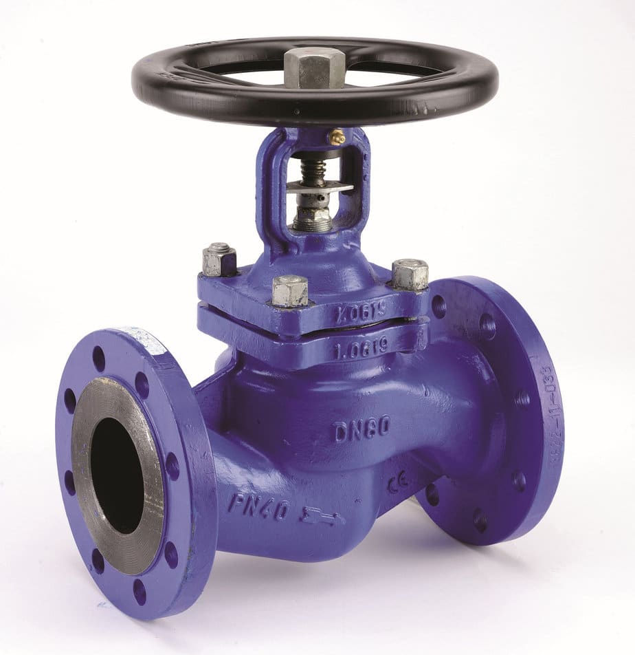 Cast iron steam globe valves