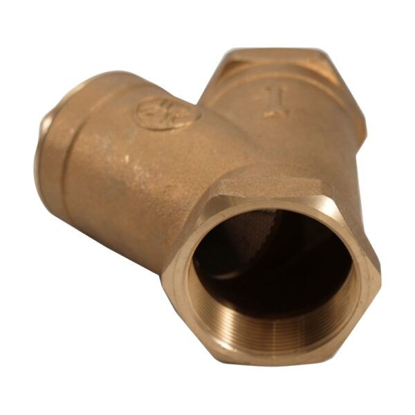 bronze y strainer downside