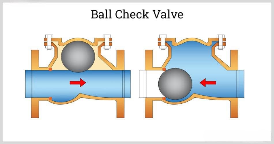 Ball check valve structure