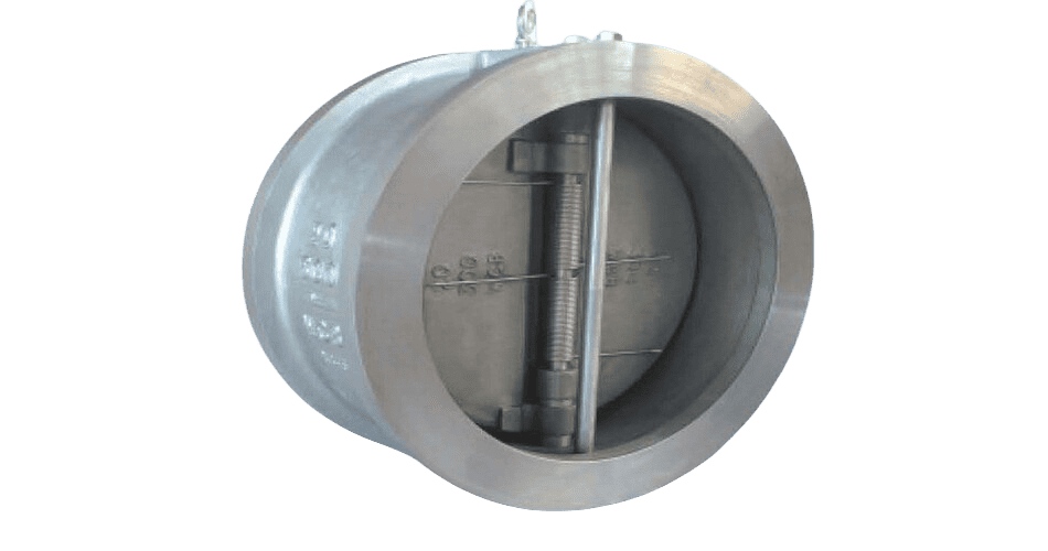 dual plate check valves