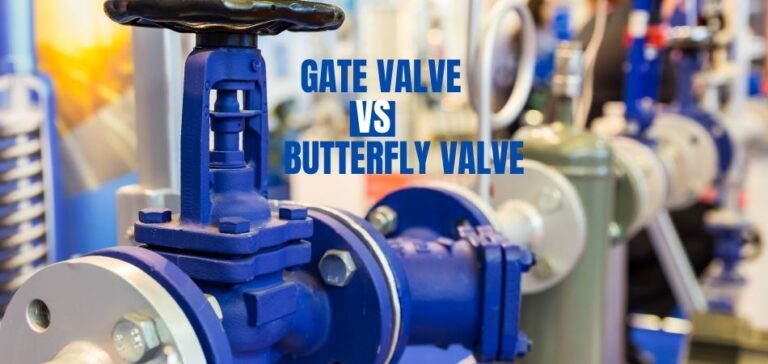 gate valve and butterfly valve