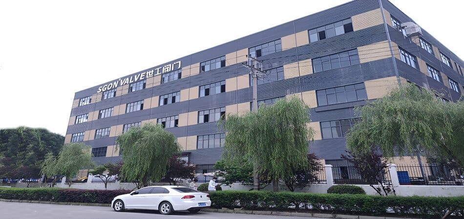Wenzhou sgon valve