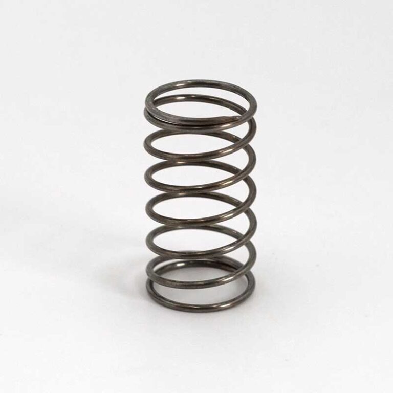 check valves spring 05