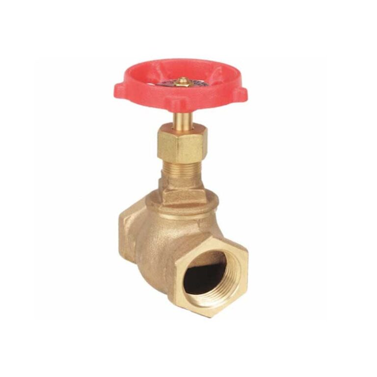 globe valve with brass materials