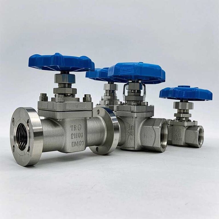 polished plug valve 01