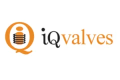 iqvalves logo