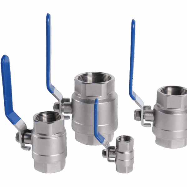 stainless steel 2piece ball valve 10052c